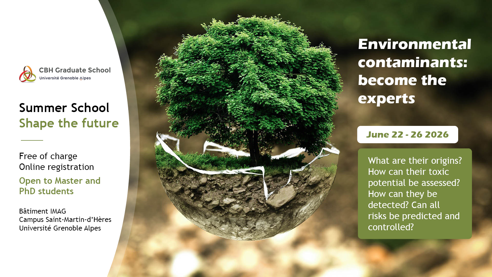 visuel-summer-school-2026