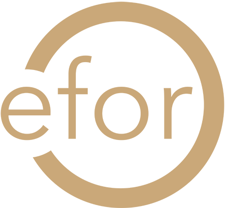 logo Efor