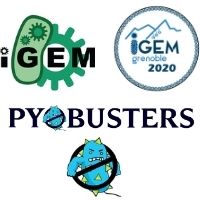 PyoBusters PyoBusters